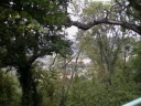 img17t.jpg